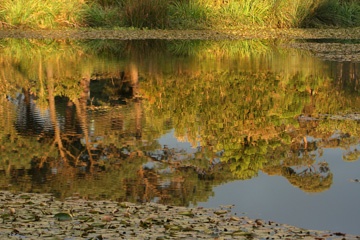 IMG_0847a.jpg